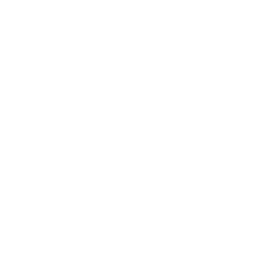 CSS Icon