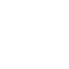 Javascript Icon