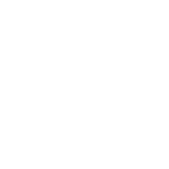 React Icon